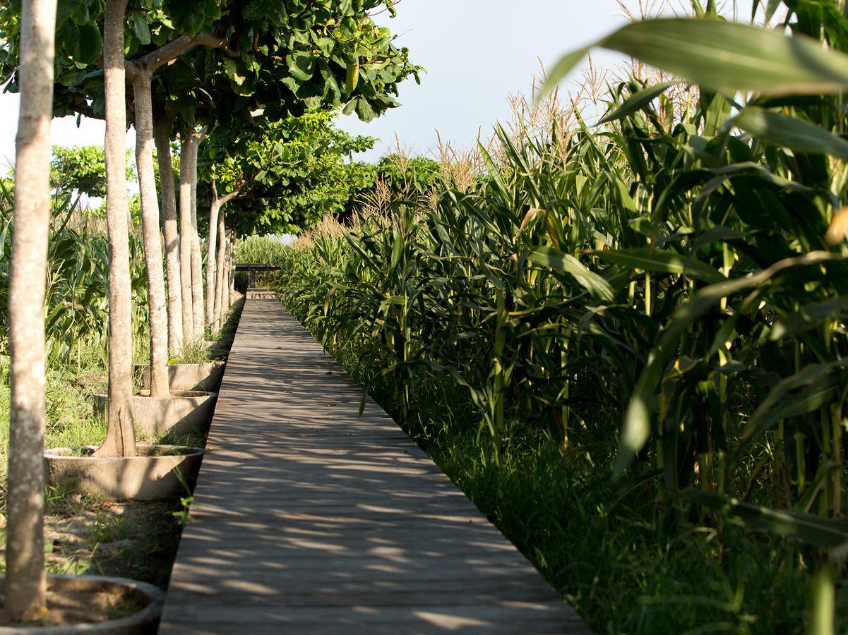 Sanur Residence Exterior photo